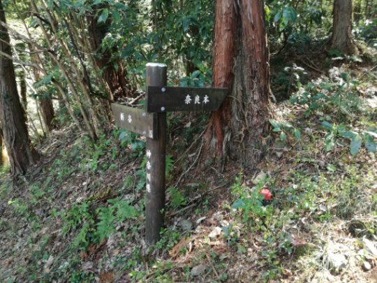 画像8